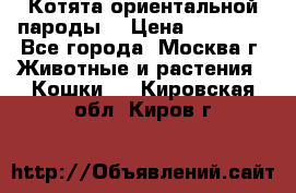 Котята ориентальной пароды  › Цена ­ 12 000 - Все города, Москва г. Животные и растения » Кошки   . Кировская обл.,Киров г.